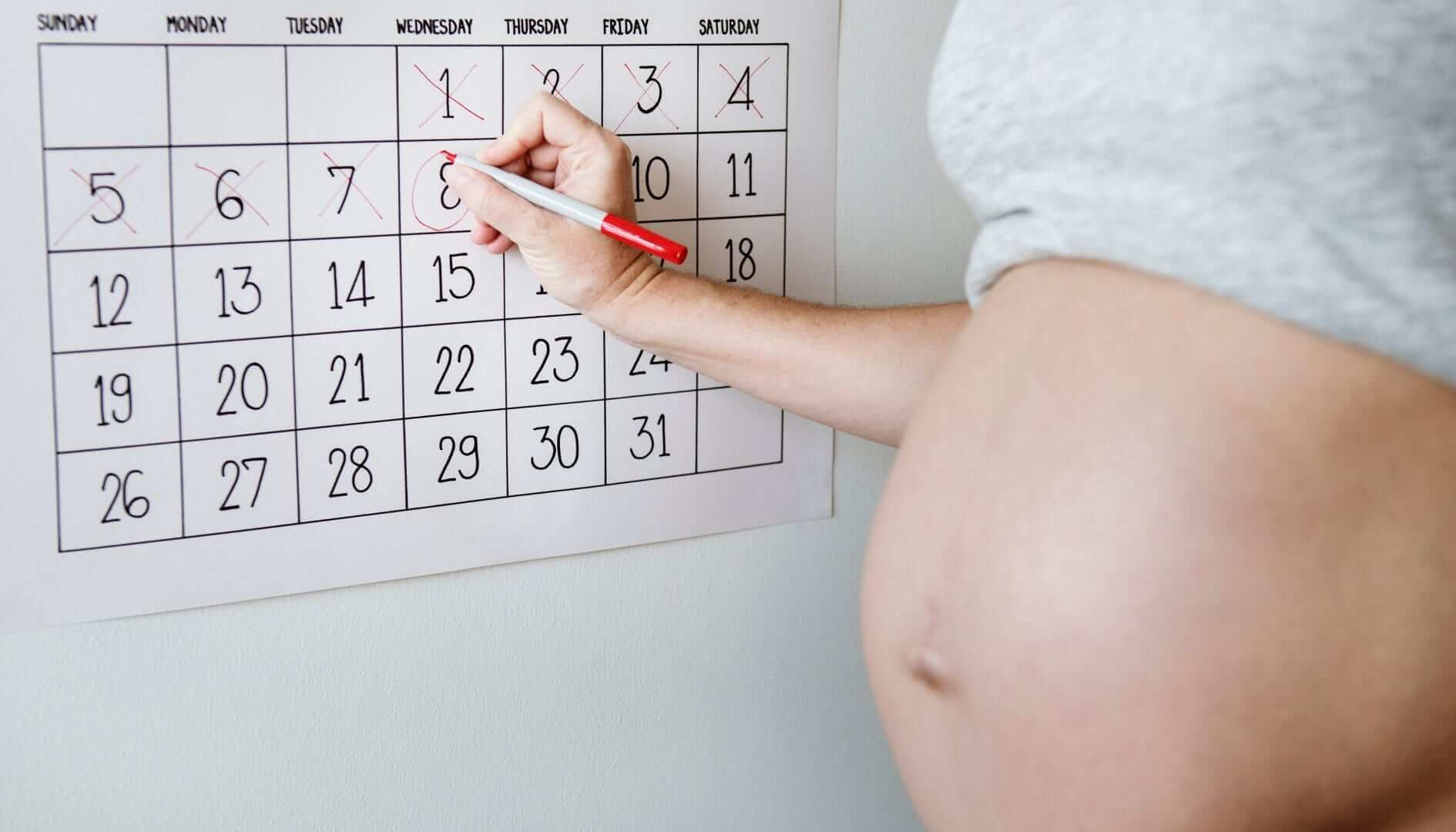 Calculadora de quando fazer o teste de gravidez